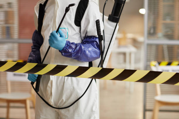 Professional Hoarding Cleanup technician working in Carver, MA